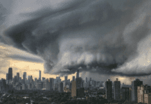 «Город ветров»: климатические особенности города Чикаго