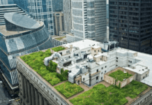 The greenest city in the USA: alternative energy sources of Chicago