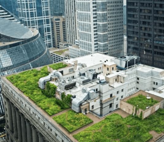 Самый зеленый город США: альтернативная энергетика в Чикаго