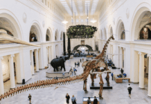 The Field Museum of Natural History in Chicago