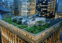 Chicago’s innovative landscaping