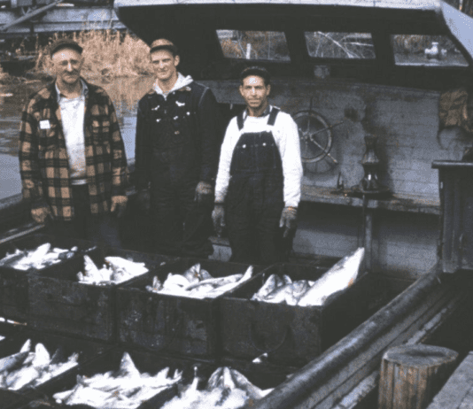 Розвиток та занепад рибної промисловості в Чикаго