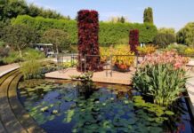 The Chicago Botanic Garden: a Unique Natural Oasis