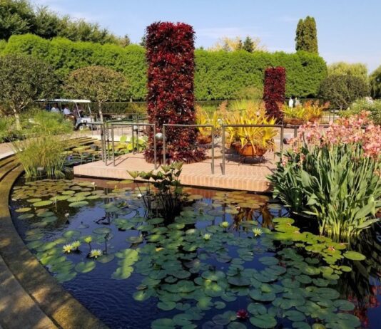 Ботанический сад Чикаго – уникальный природный оазис