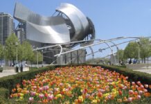 Міленіум-парк — природна оаза Чикаго