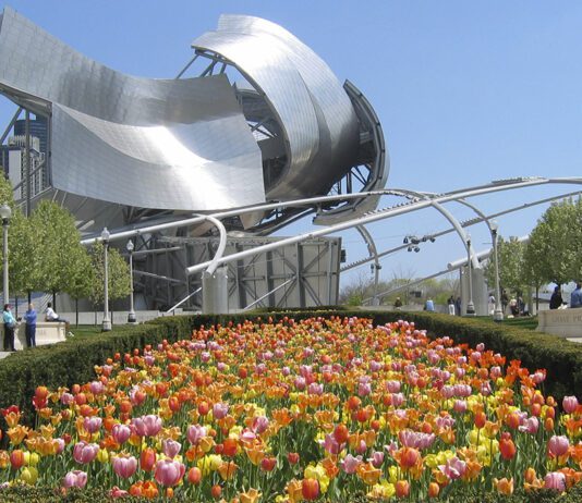 Миллениум-парк – природный оазис Чикаго