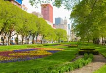 Грант-парк — природно-архітектурна гордість Чикаго