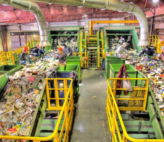 Garbage recycling in Chicago in the 19th and 20th centuries