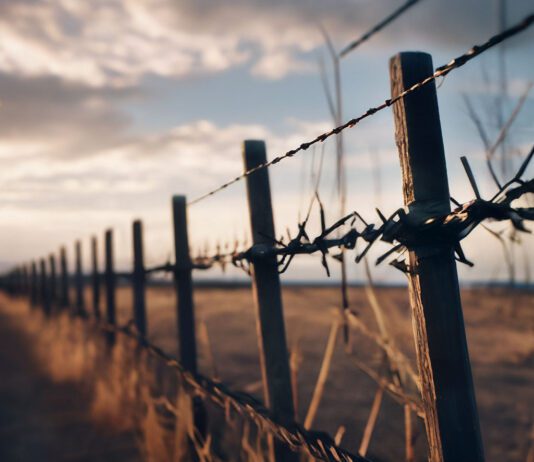 Джозеф Глидден – фермер, который своим изобретением изменил сельское хозяйство