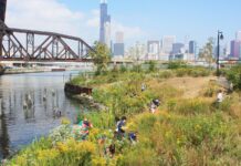 Забруднення річок у Чикаго