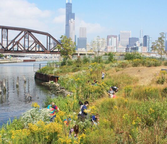 Загрязнения рек в Чикаго