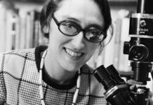 Лінн Маргуліс — основоположниця теорії симбіогенезу