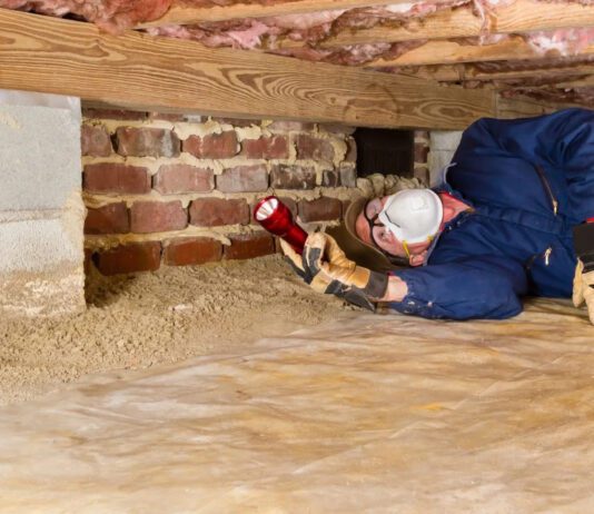 Де замовити послуги з відновлення підвальних приміщень у Північній Кароліні?