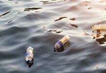 Організації Чикаго, які піклуються про навколишнє середовище за допомогою технологій