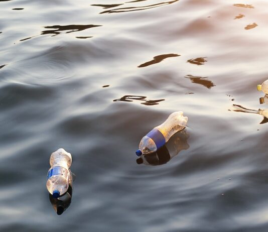 Организации Чикаго, которые заботятся об окружающей среде при помощи технологий