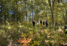 Chicago’s Environmental Initiatives