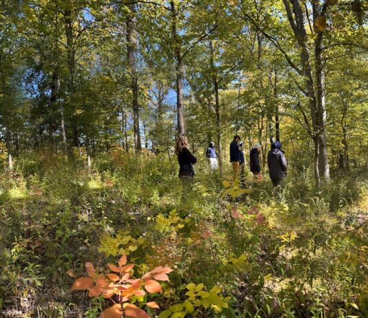 Екологічні розробки Чикаго