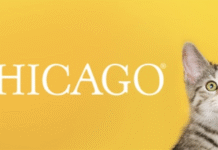 PAWS Chicago: історія порятунку, що змінила життя тисяч тварин