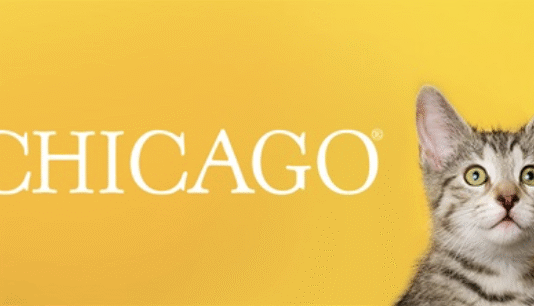 PAWS Chicago: история спасения, изменившая жизнь тысяч животных