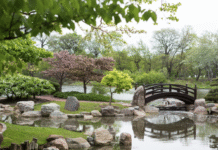 Один із найвеличніших зелених просторів – Джексон-парк