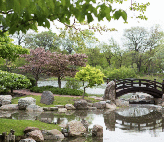 Одно из величайших зеленых пространств – Джексон-парк