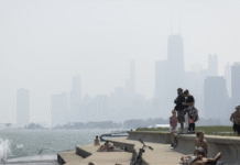 Екологічні проблеми Чикаго: сучасний стан, ризики та шляхи вирішення