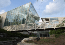 Peggy Notebaert Nature Museum: природничі скарби Чикаго для дітей та дорослих