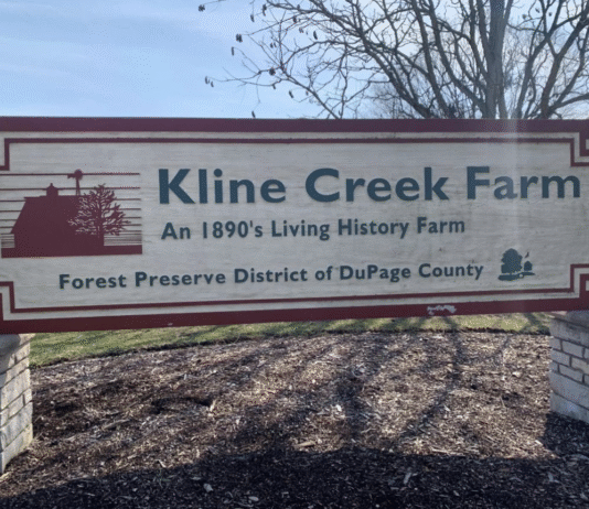 Kline Creek Farm у Чикаго: музей фермерського життя 19 століття