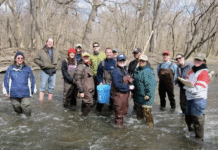 Friends of the Chicago River: как общественная инициатива изменила экологию мегаполиса?