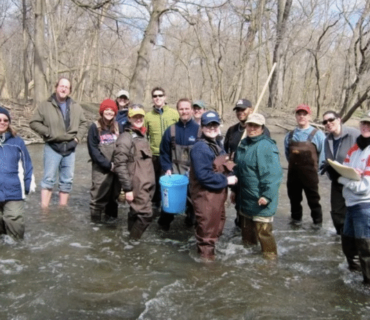 Friends of the Chicago River: як громадська ініціатива змінила екологію мегаполіса?