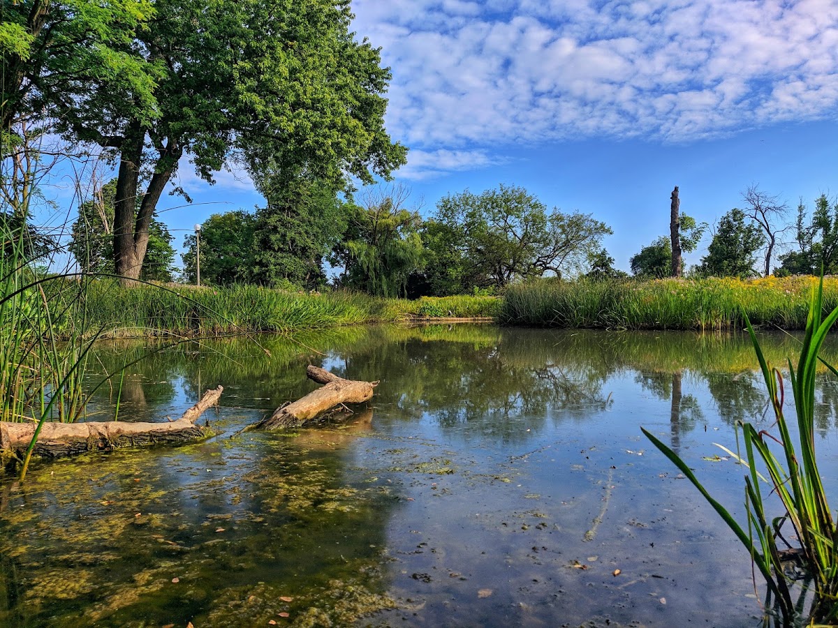 Humboldt (Alexander Von) Park — Park