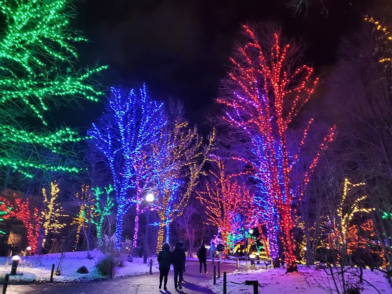 Lincoln Park