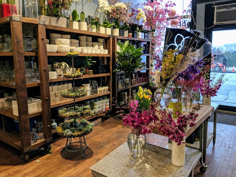 Steve's Flower Market